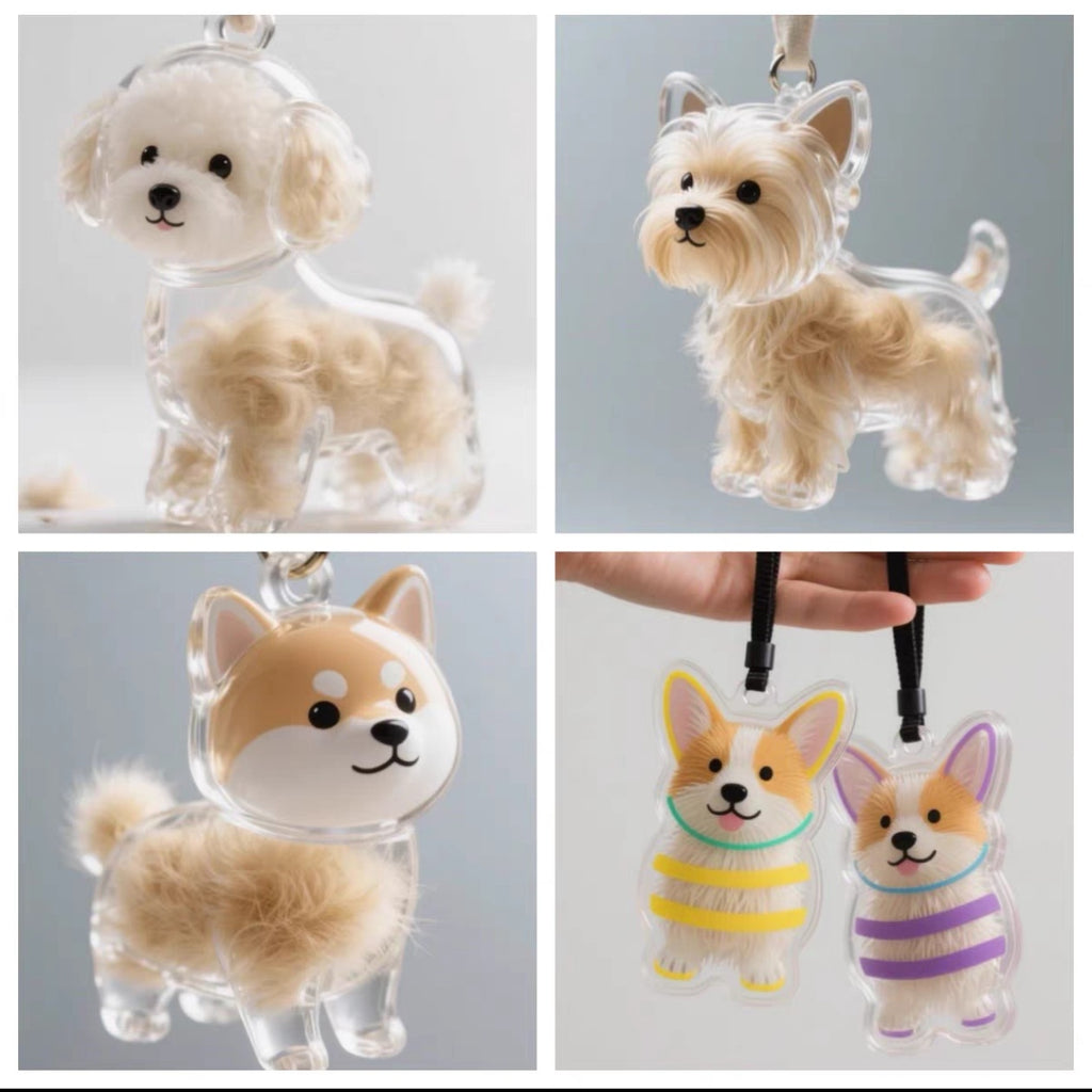 Transparent container for pet hair collection