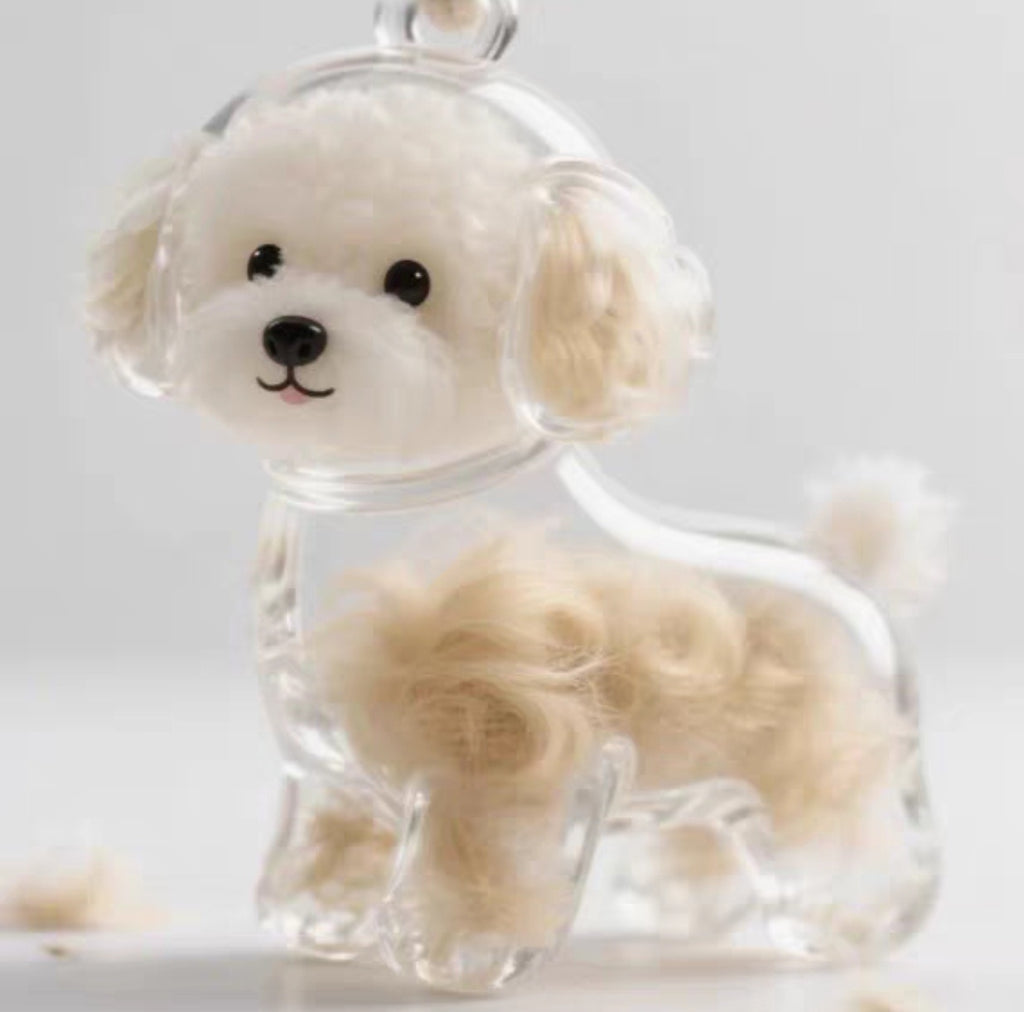 Transparent container for pet hair collection